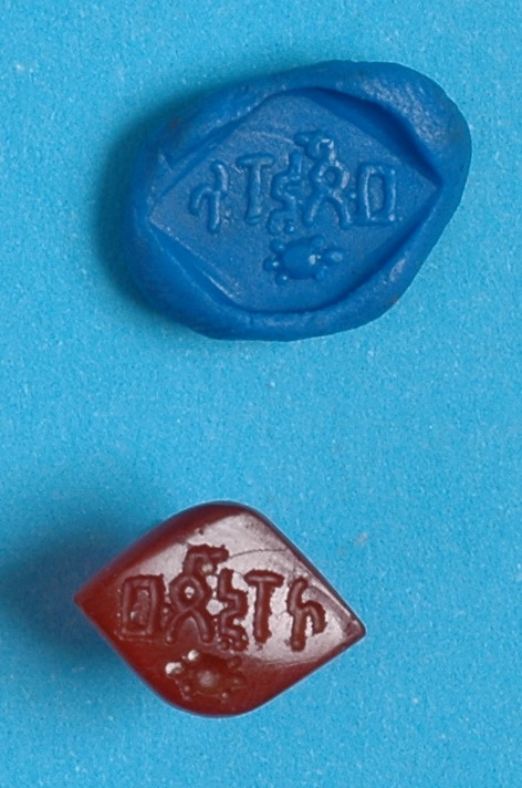 Seal